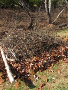 dead branches go on top of leaves