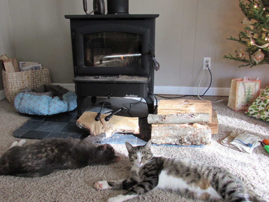 cats and wood wstove