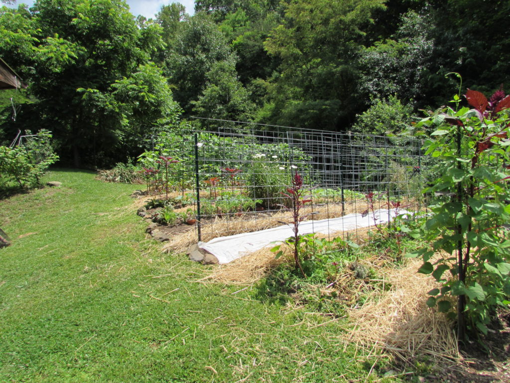 Garden beds at The Little Half Acre homestead