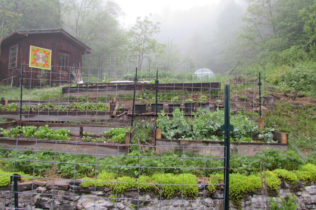 A foggy morning on the Little Half Acre Homestead